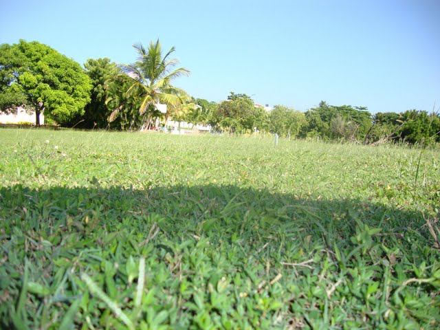 Los Mangos Fairway